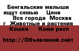 Бенгальские малыши ищут семью) › Цена ­ 5 500 - Все города, Москва г. Животные и растения » Кошки   . Коми респ.
